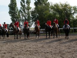 386849_10151090365013585_875793382_n